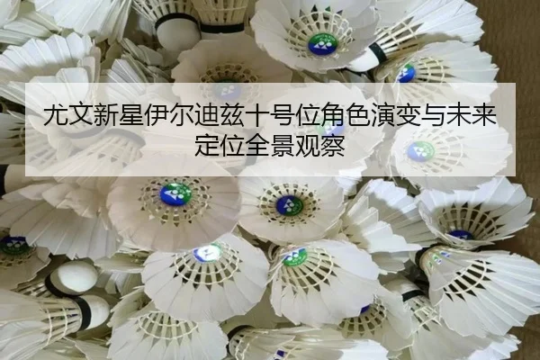 尤文新星伊尔迪兹十号位角色演变与未来定位全景观察