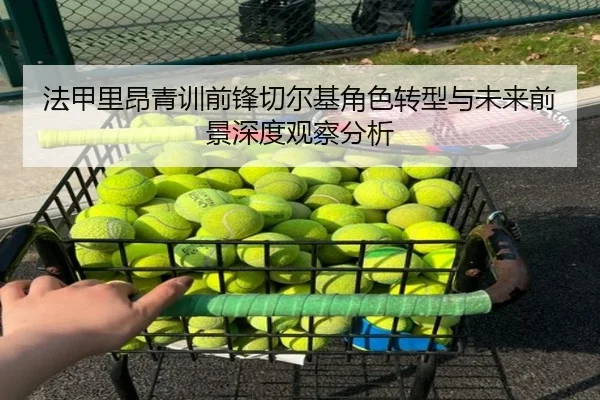 法甲里昂青训前锋切尔基角色转型与未来前景深度观察分析